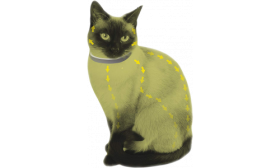 Natürliches Katzenhalsband gegen Flöhe und Zecken mit 8 Monaten Schutz, leichter, wasserfester Schutz, Teil der katzenmarken.