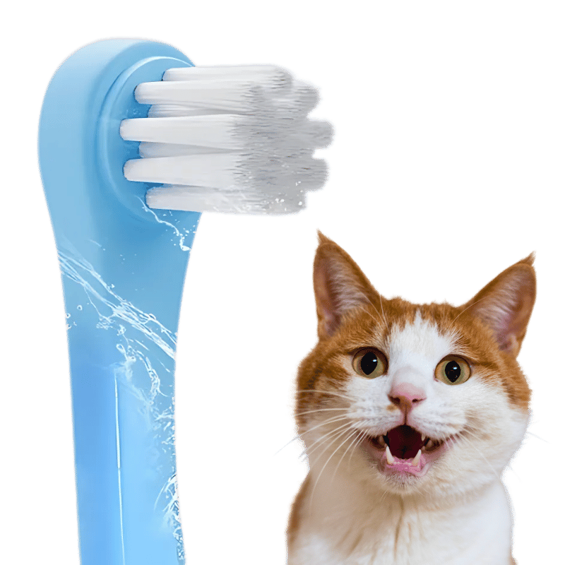 Sanfte Clean Zahnbürste für Katzen mit weichen Nylonborsten Sanfte Clean Zahnbürste für Katzen mit weichen Nylonborsten