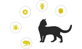 Natürliches Katzenhalsband mit 8 Monaten Schutz vor Flöhen, Zecken und Schädlingen, mit Ölen, Teil der katzenmarken.